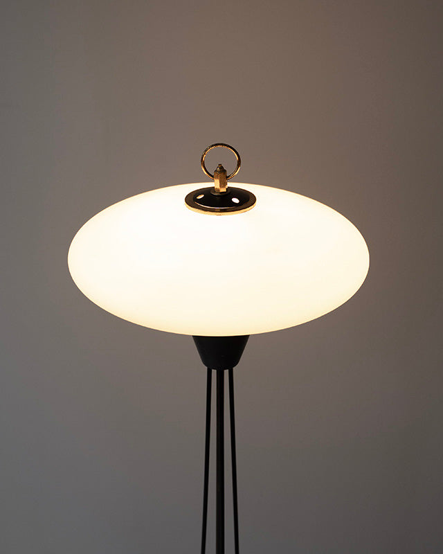 Mid-century podlahová lampa, Stilnovo, 1950s
