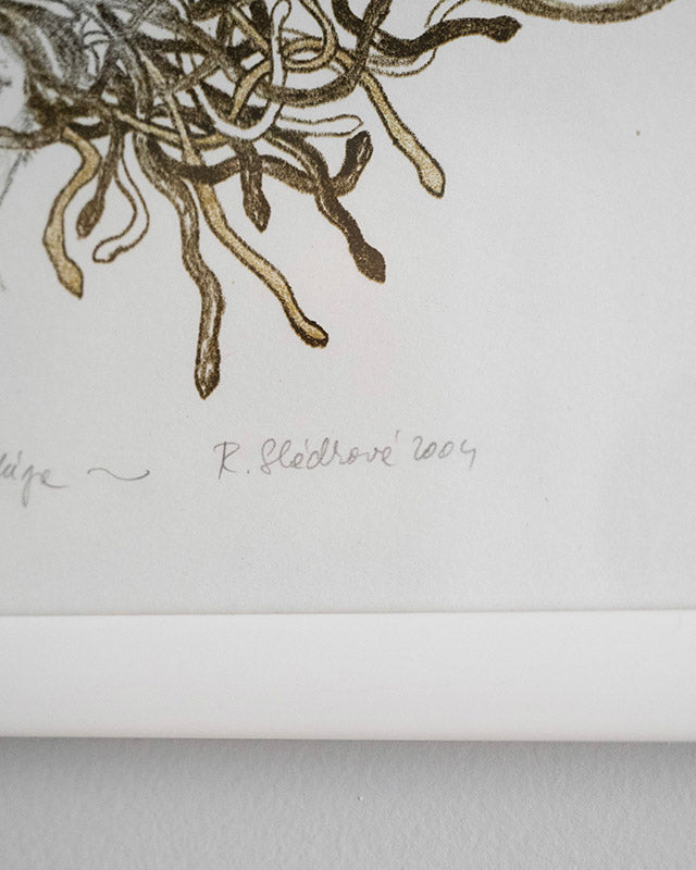 Litografia Medúsa, R. Sládková, 2004