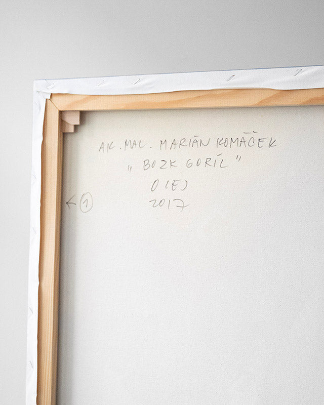 Obraz „Bozk Goríl“ od Marián Komáček, olej na plátne, 2017 (1)